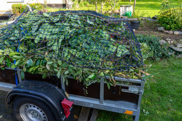 Best Hoarding Cleanup  in Mendota, IL